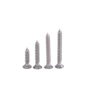 Tapping Screw SS304