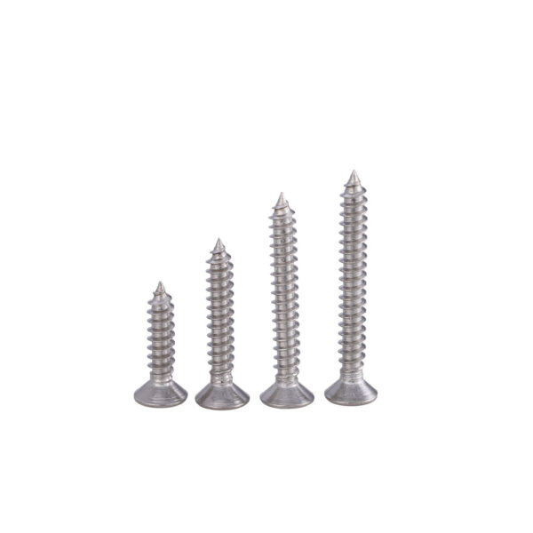 Tapping Screw SS304